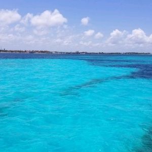 Meet your Posher, Helen